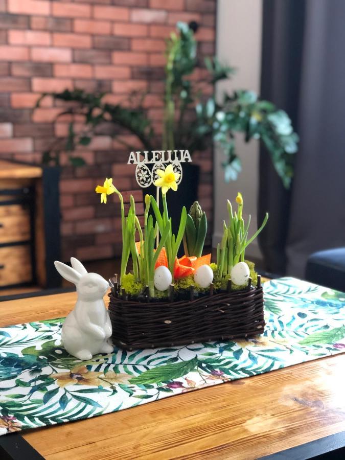 Apartament Loft Apartment Bielsko-Biala Bagian luar foto